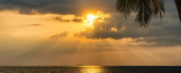 pexels / pixabay pexels / pixabay