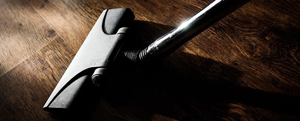 pixabay / jarmoluk pixabay / jarmoluk